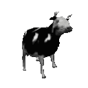 Dancing Cow Animated emoji