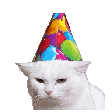birthday_cat_blink