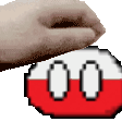 pet pet poland
