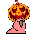 parrot-pumpkin