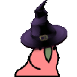 parrot-witch
