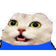 peepo-cat-lol