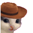 howdy-cat