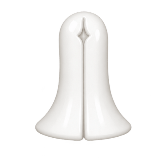 Bodyshell 1
